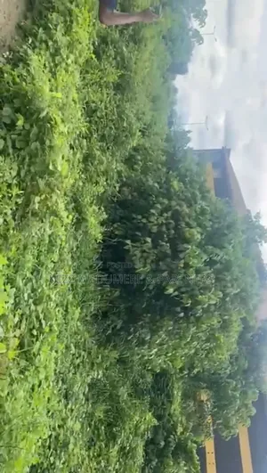 For Sale: 6 Plots by Airport Roundabout, Omagwa ,Ph