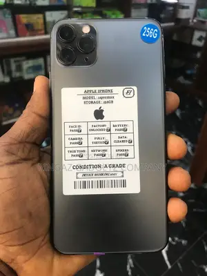 Apple iPhone 11 Pro Max 256 GB Gray
