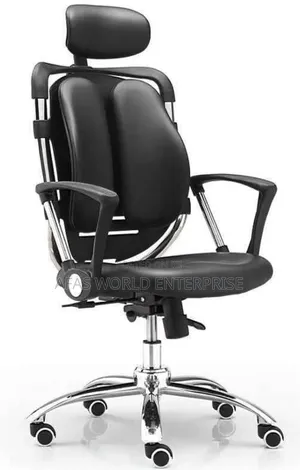 Beautiful Kidney Chair to Protect Your Back