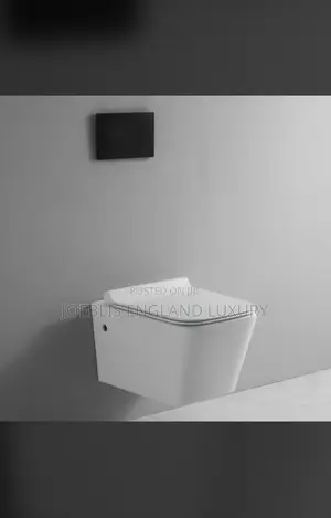 Concealed Wc
