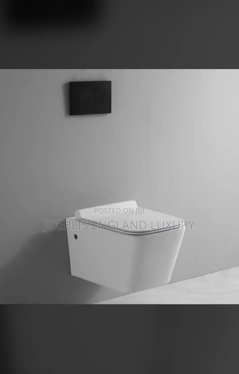 Concealed Wc