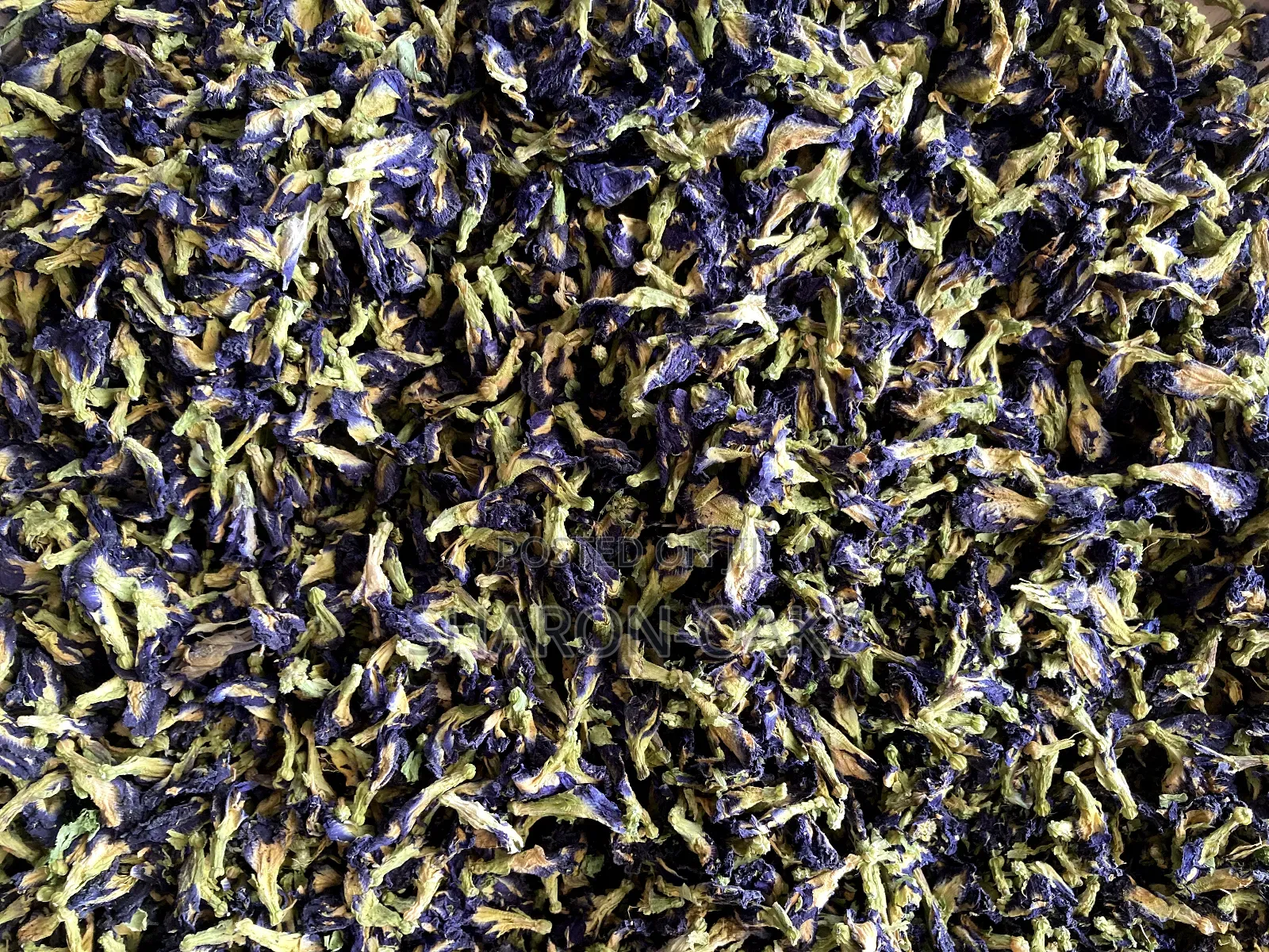 Butterfly Blue Pea 500g