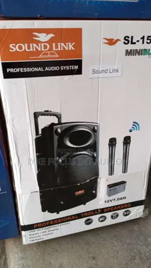 15inch Soundlink Wireless Amplifier With Equalizer