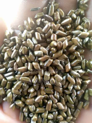 Casiatora Seeds
