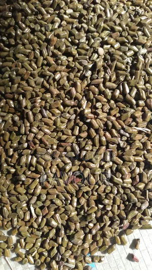 Casiatora Seeds