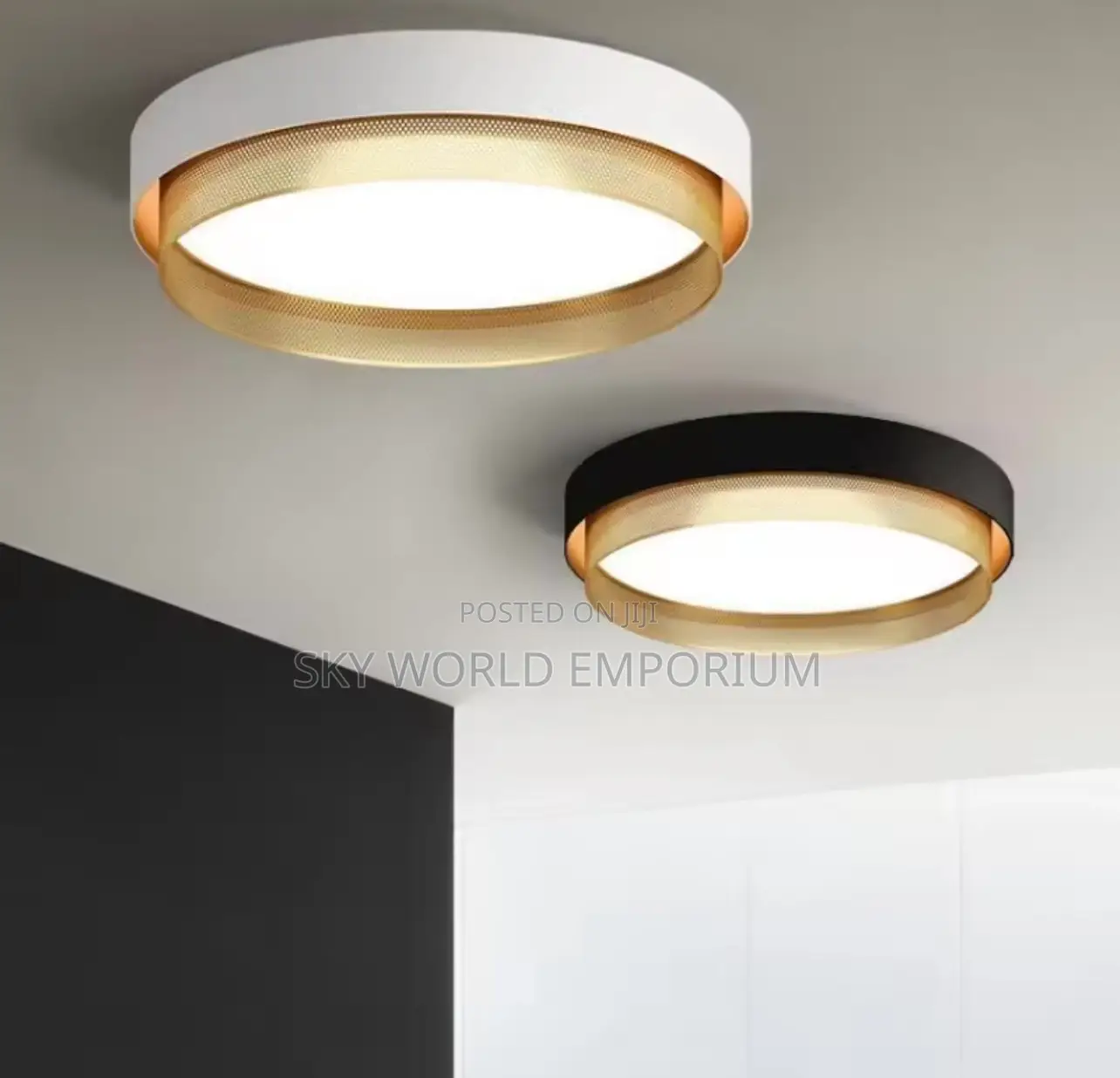 Modern LED Ceiling Lamp