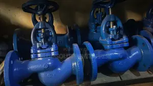 DN65 Globe Valve