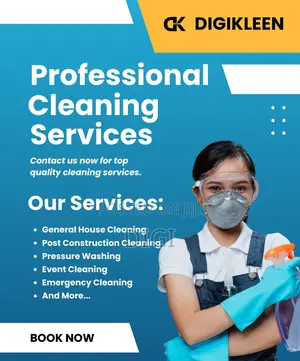 Professional Cleaners Just for You