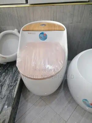 Automatic Sanitary Ware