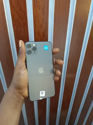 Apple iPhone 11 Pro Max 256 GB Gray