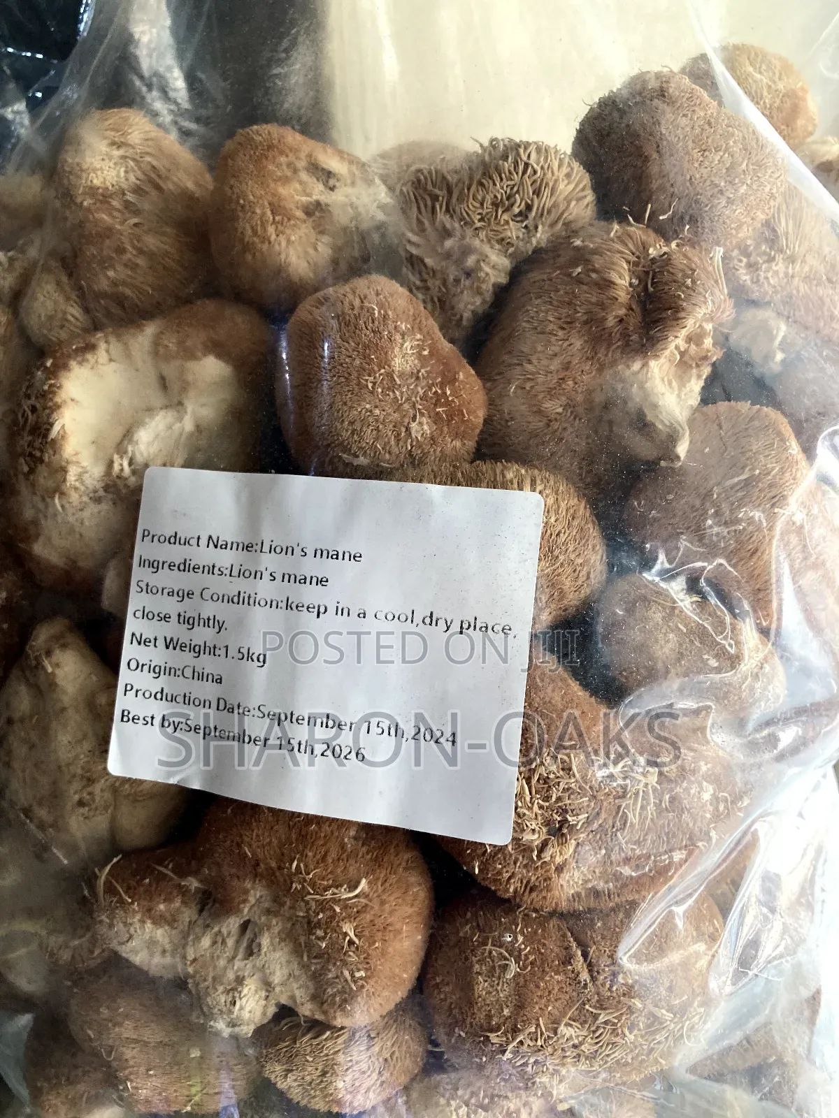 Lion Mane Mushroom 1kg