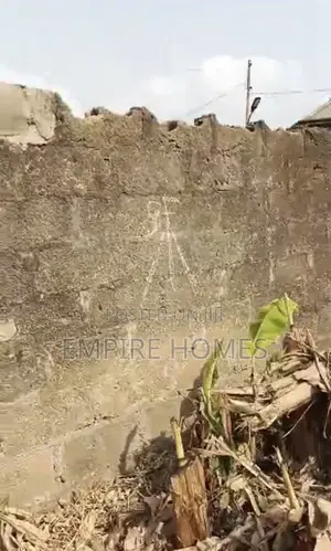 1bdrm Block of Flats in Poultry Oyinbo, Ayobo for sale