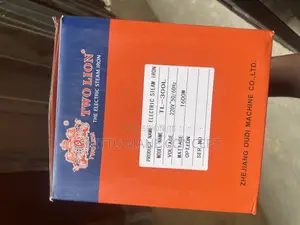 Eletric Steam Iron TWO LION
