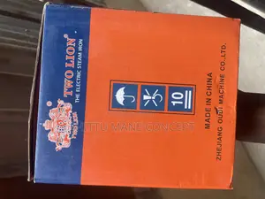 Eletric Steam Iron TWO LION