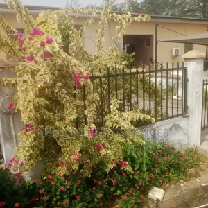 Flower Man/Horticulturist for Your Green Space