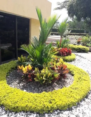 Flower Man/Horticulturist for Your Green Space