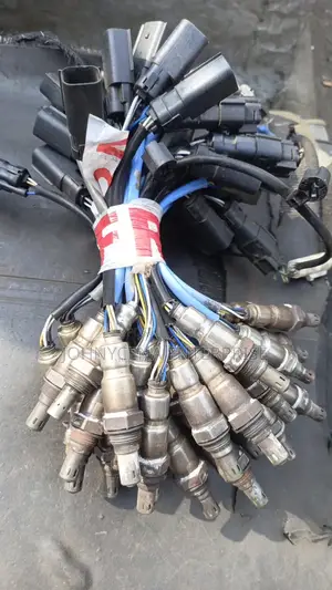 Catalyst and Oxygen Sensors