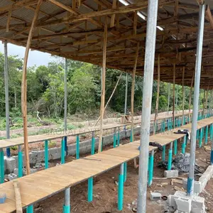 ₦21m Builds A Quality 5,000-bird Pen With Cages.
