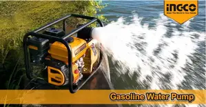 Ingco Gasoline Water Pump 3” 7HP