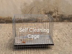 Self Cleaning Cages for Livestocks
