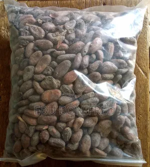 1 Kg of Raw Cocoa Beans (Cacao)Seeds