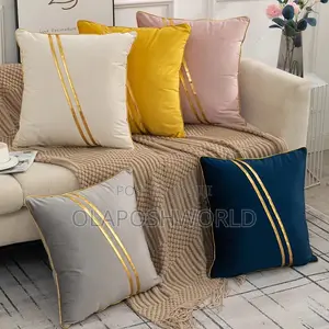 Velvet Throw Pillow 18*18inches