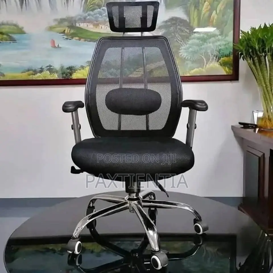 Executive Ergonomic Chair