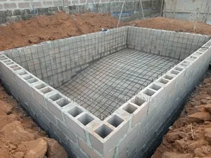 Renowned Swimming Construction Expert