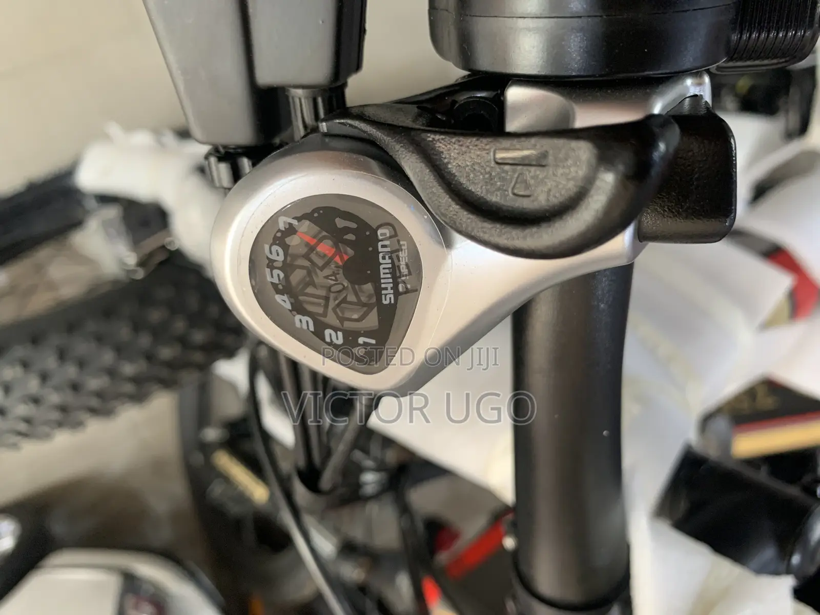 Aster Fat Tyre E-Bike
