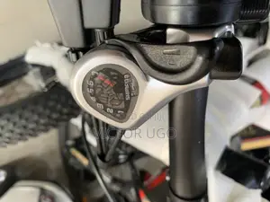Aster Fat Tyre E-Bike