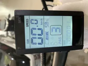 Aster Fat Tyre E-Bike