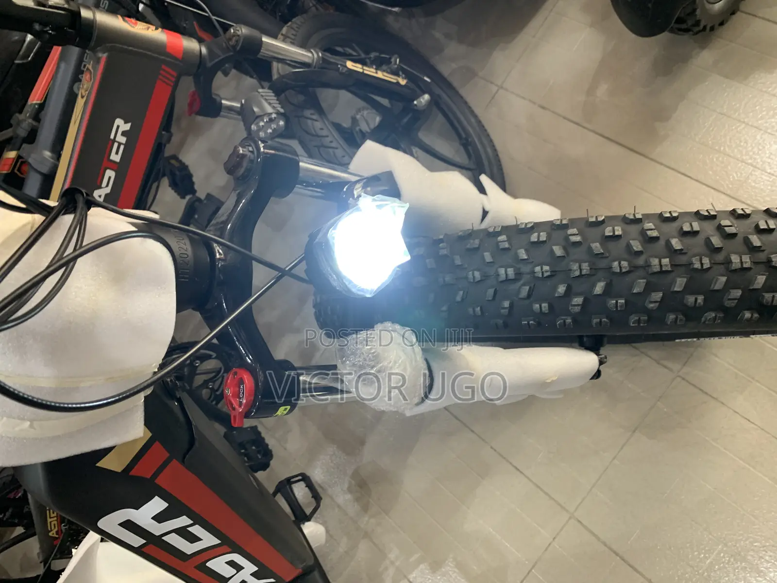 Aster Fat Tyre E-Bike