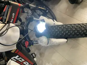 Aster Fat Tyre E-Bike