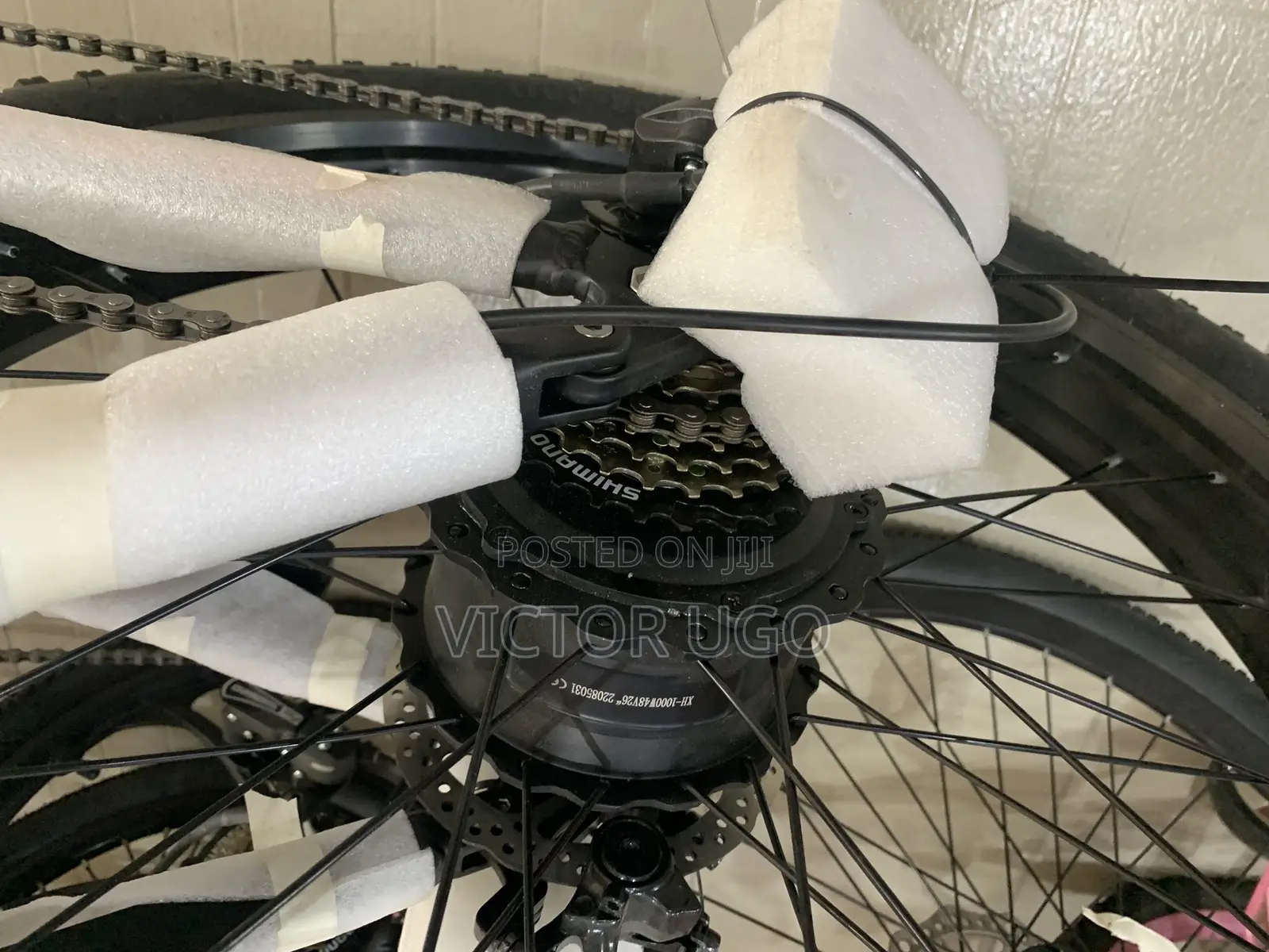 Aster Fat Tyre E-Bike