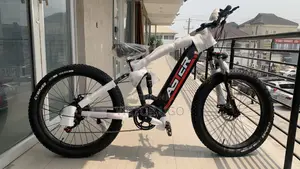 Aster Fat Tyre E-Bike