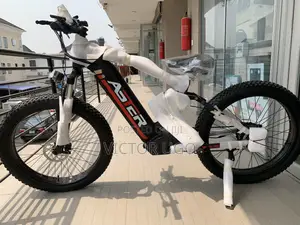 Aster Fat Tyre E-Bike
