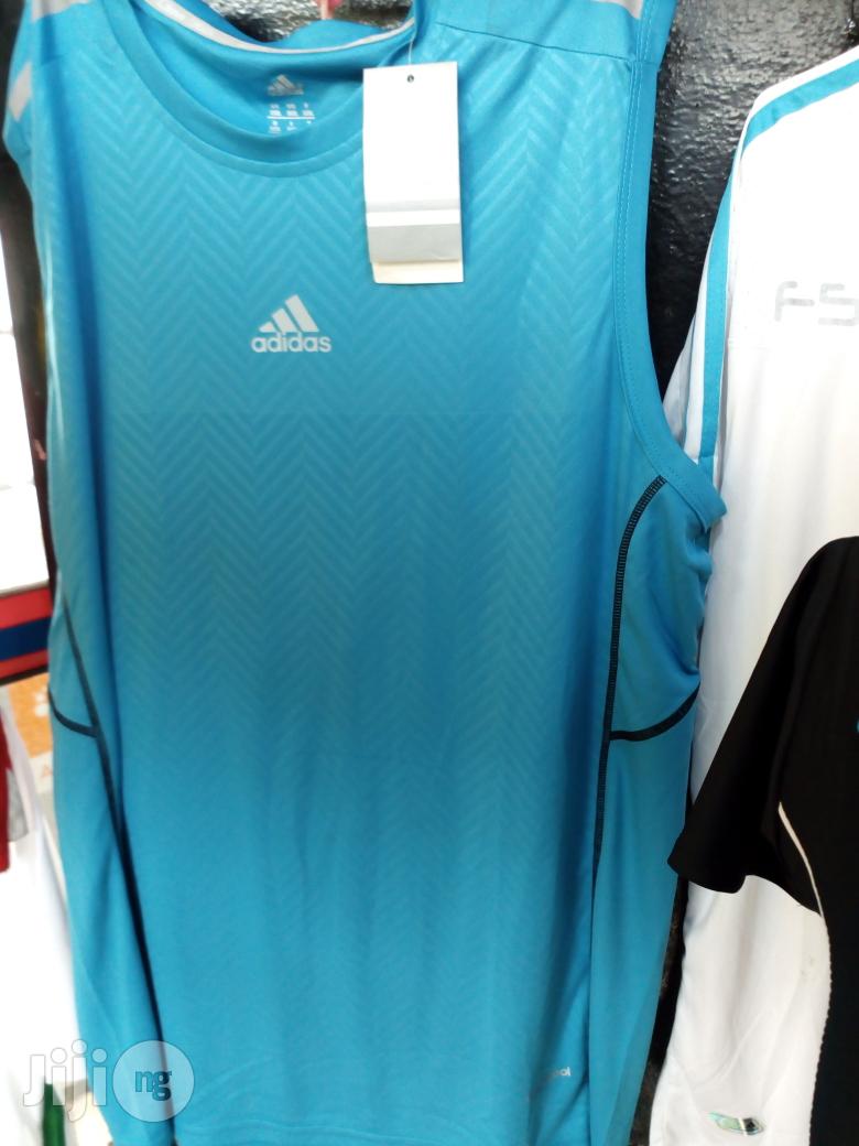 Amless Singlet