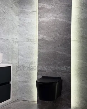 England Standard Stainless Concealed Wc.