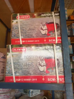 Elester Stainless Surface Pump