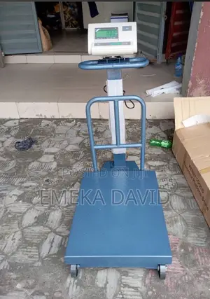 Electrical Scale A12 500kg Heavy Duty