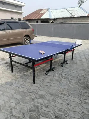 New Imported Waterproof Table Tennis