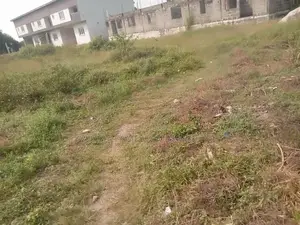 Landed Property