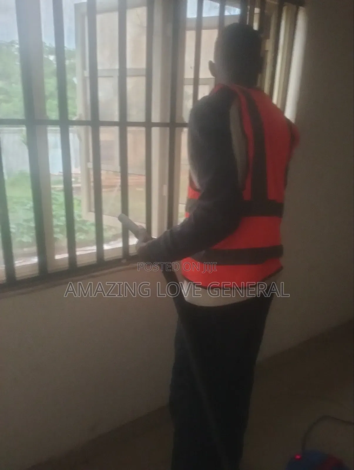 Professional Cleaning Services