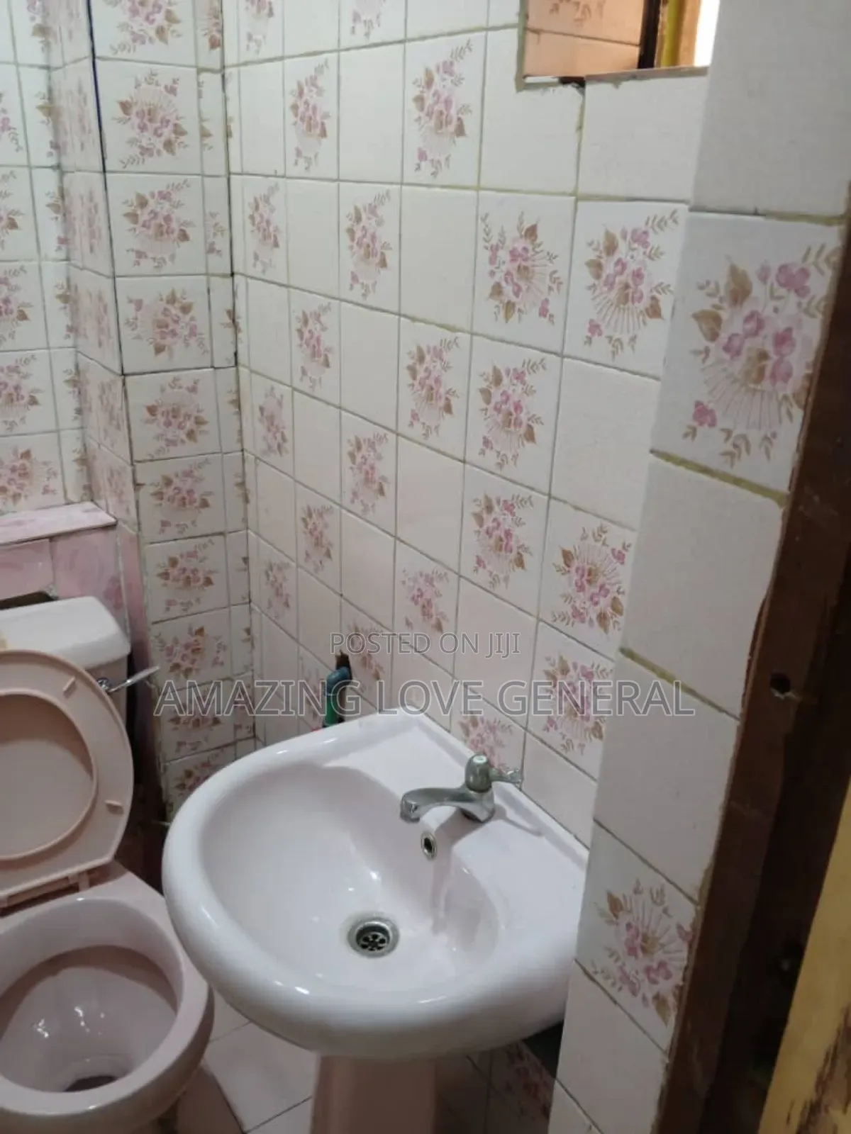 Professional Cleaning Services
