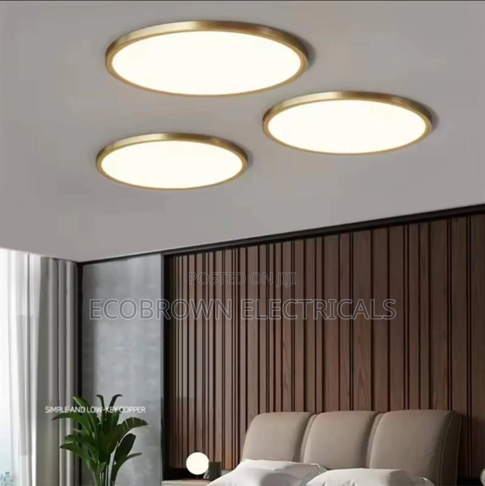 Ceiling Fittings Chandelier Light