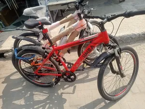 Photo - Bicycle Standard