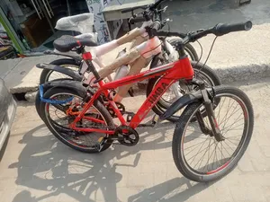 Bicycle Standard