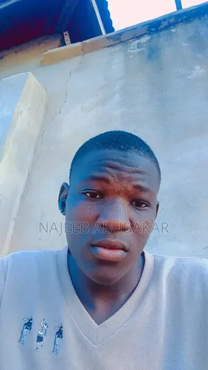 Najeeb Abubakar