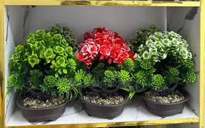 Decorative Interior Flowers