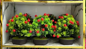 Decorative Interior Flowers